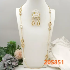 2 pcs of long chain and earrings